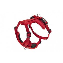 Peitoral Cesare Ferribiella