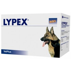 Lypex