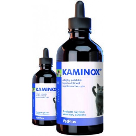 Kaminox 60 ml