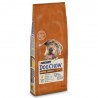 Dog Chow Senior Frango - Petslowcost