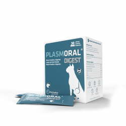 Plasmoral Gato / Cao Pequeno