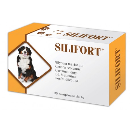Aurora Silifort - 30 comp