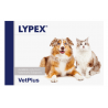 Lypex