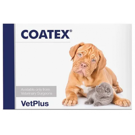 Coatex Cápsulas - 60 caps