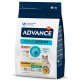 ADVANCE CAT - STERILISED SALMÃO