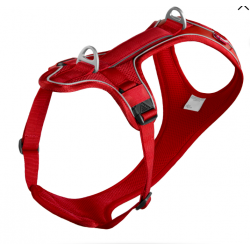 Curli Peitoral Belka Comfort Cão