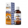 Gastrowow - protetor estomago para cães e gatos