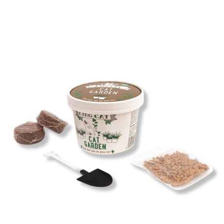 KING CATNIP Kit de cultivo de erva catnip para gatos