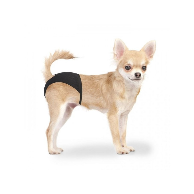 Cuecas para cães - Petslowcost