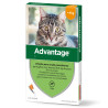 Advantage para gatos - Pipetas Desparasitantes - Petslowcost