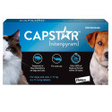 Capstar 11,4 mg - 6 Comprimidos antiparasitários para cão pequeno e gato