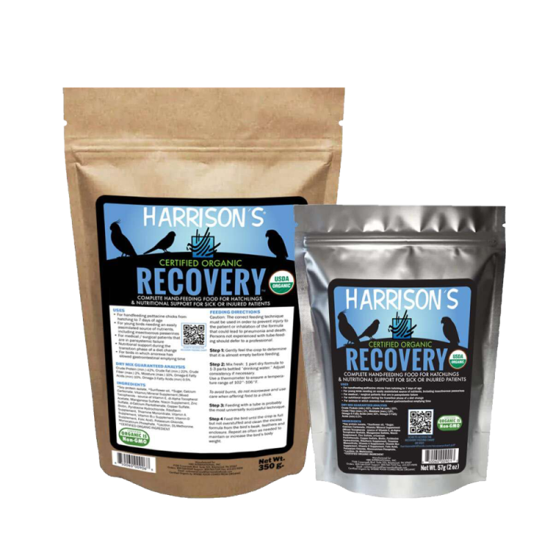 Harrison´s Recovery - Petslowcost