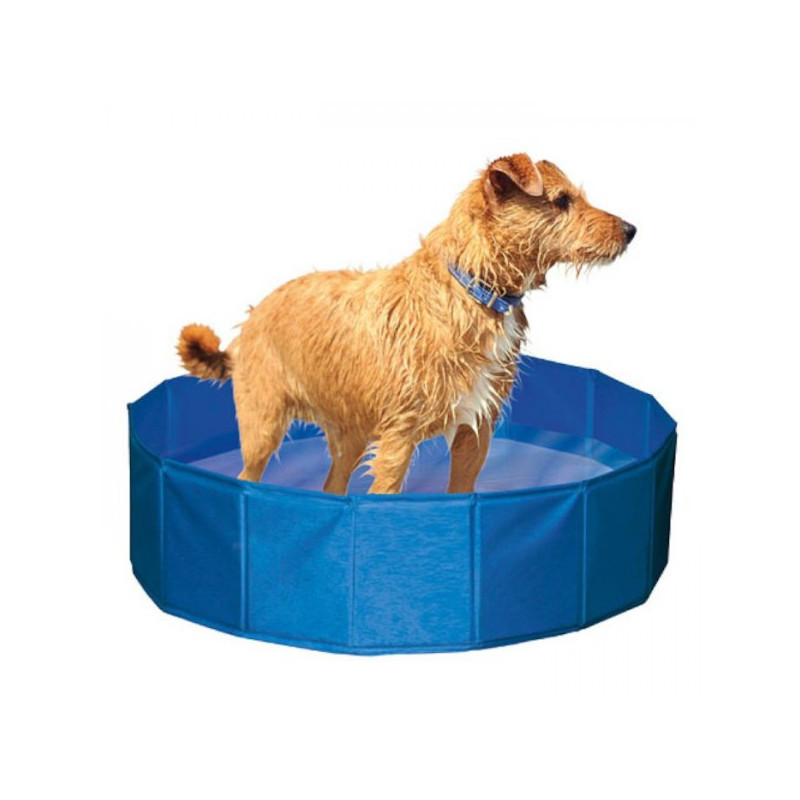 Piscina para cães - Petslowcost