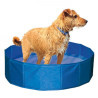 Piscina para cães - Petslowcost