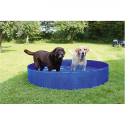 Piscina para cães - Petslowcost