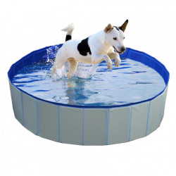 Piscina para Cães Duvo
