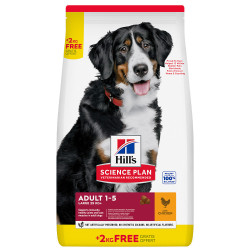 Hill's Adult Large Breed Ração de frango para cães de raças grandes - Petslowcost