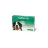 Capstar Comprimidos 57 mg Cão -  6 Comprimidos