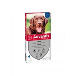 Advantix - Petslowcost