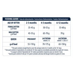 Advance Cat - Kitten